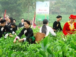 越南太原茶叶节